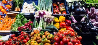 Food Waste