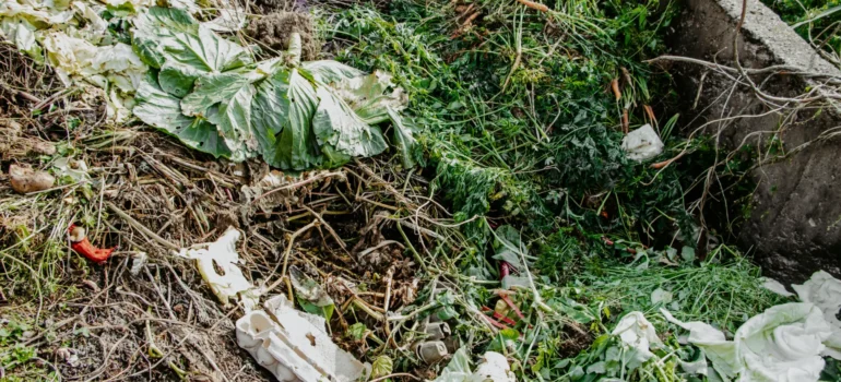Compost pit for food waste. Concept of organic fertilizers for garden. Garden waste that should be in a skip